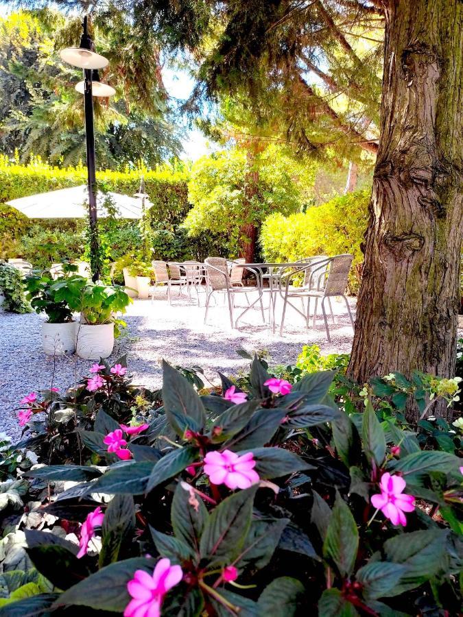 Hotel B&B Des Bains Milano Marittima Exteriör bild